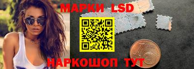 spice Ярославль