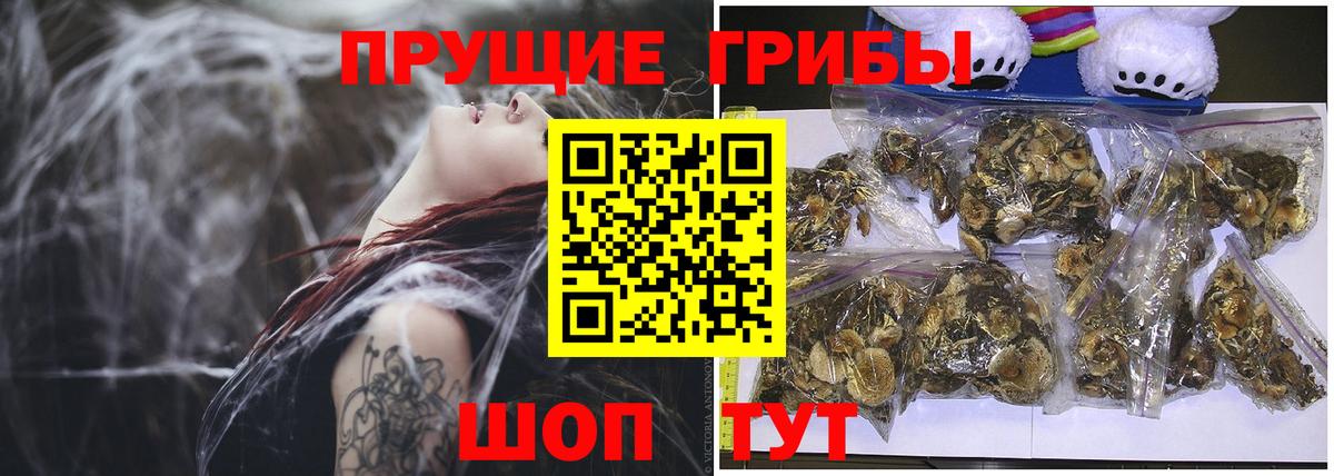 Псилоцибиновые грибы Magic Shrooms Красный Сулин