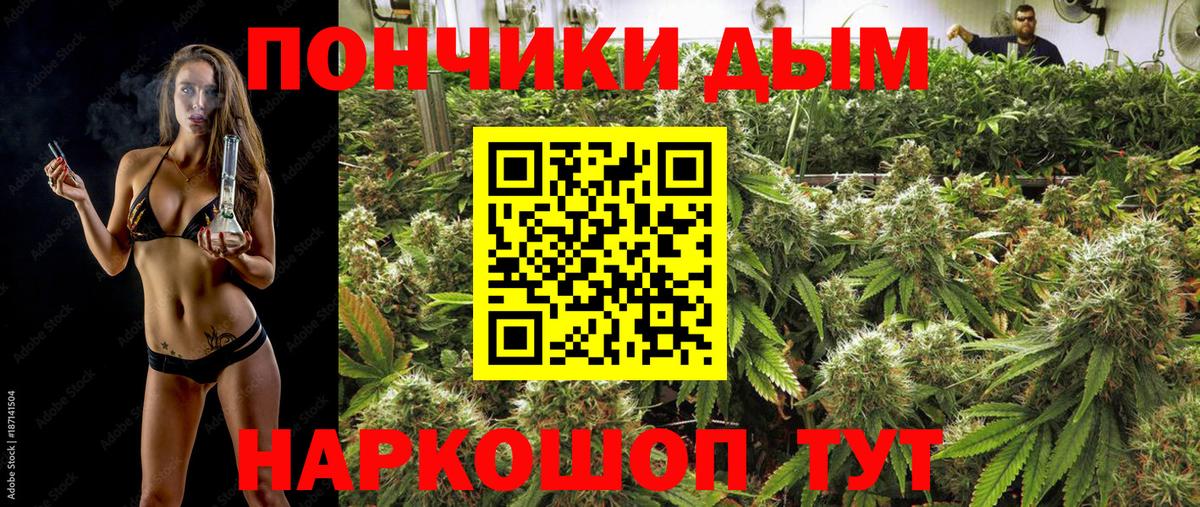 Красный Сулин  Канабис Bruce Banner  Вход с VPN  Каннабис сатива  МАРИХУАНА OG Kush 